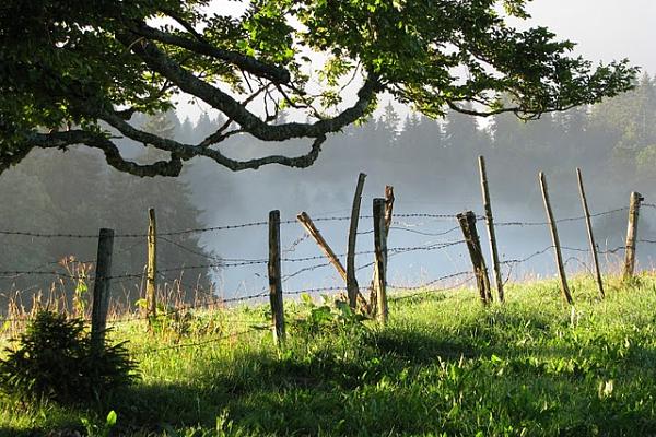Les barbelés - &copy; août 2010 - K. Adamova