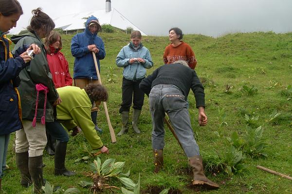 Cours sur les plantes utiles à l'alpage - &copy; juillet 2007 - Marie