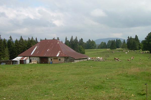 La Grange Nourrie avant réfection - &copy; juillet 2007 - Marie