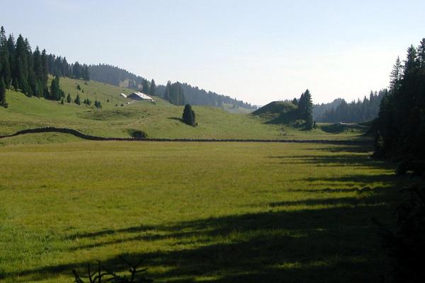 A la Sèche de Gimel - &copy; août 2003 - P.M. Aubertel