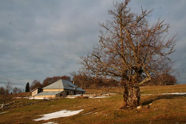 La Vermode en hiver - &copy; janvier 2011 - P.M. Aubertel