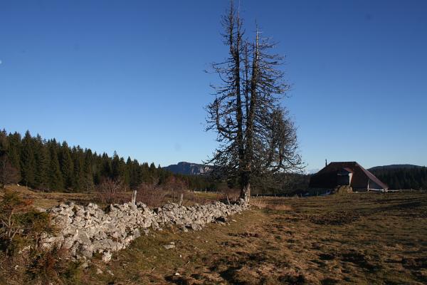 La Grange Royet - &copy; janvier 2011 - P.M. Aubertel