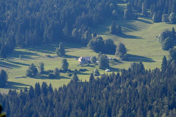 Alpage de la Petite Echelle - &copy; juin 2011 - P.M. Aubertel