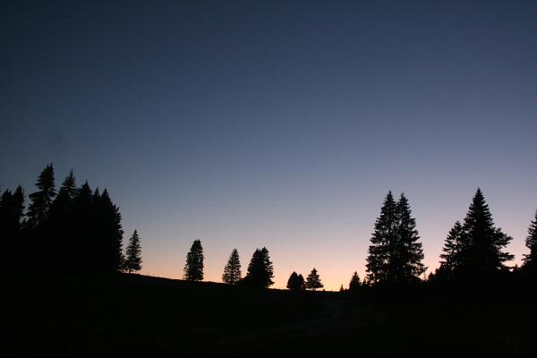 Silhouettes sur l'alpage - © septembre 2011 - P.M. Aubertel