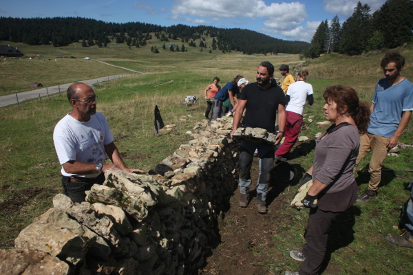 Cours sur les murs en pierres sèches au Grand Sonnailley - © août 2015 - P.M. Aubertel